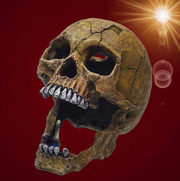 Aquarium Deko sprudelnder TOTENKOPF ✚ LUFTPUMPE ✚ Zubehör Dekoration
