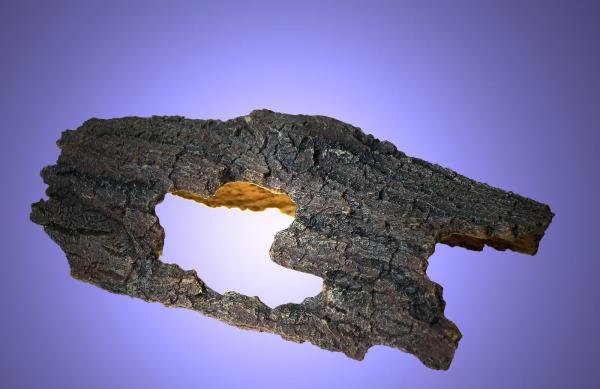 Aquarium Deko groß BAUMSTAMM HÖHLE Welse Barsche Fische  Dekoration Zubehör