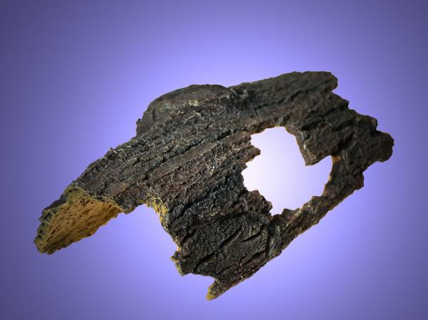 Aquarium Deko groß BAUMSTAMM HÖHLE Welse Barsche Fische  Dekoration Zubehör