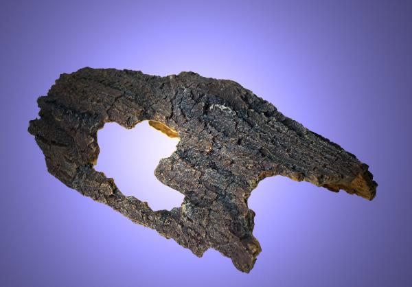 Aquarium Deko groß BAUMSTAMM HÖHLE Welse Barsche Fische  Dekoration Zubehör