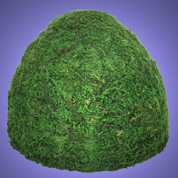 Terrarium Reptilien Deko XL ECHTE MOOS HÖHLE Dekoration Iglu Zubehör