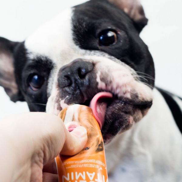 NOBBY LECKERE HUNDE MULTI-VITAMIN PASTE A,D3,E,B1,B2,B6,C Snack Zubehör
