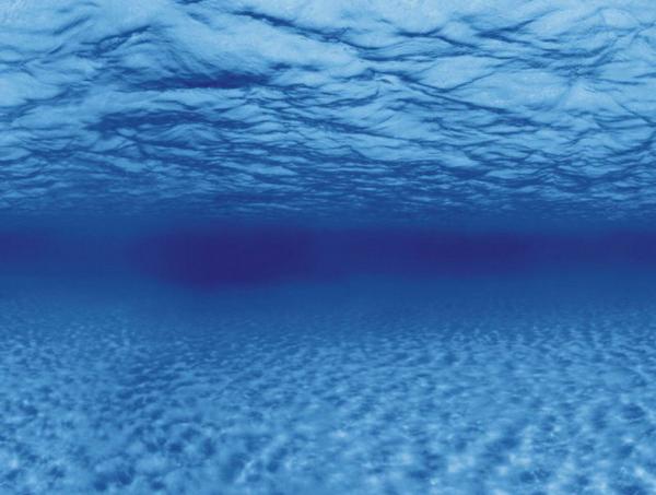 Aquarium Deko RÜCKWANDFOLIE 100 X 50 cm Fotorückwand Zubehör Hintergrund