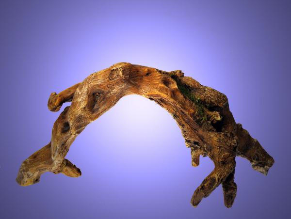 Aquarium Deko schöne BOGEN WURZEL Höhle Mopani Ast Terrarium Zubehör Holz