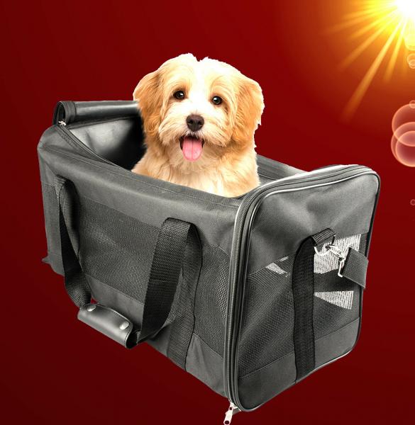 Hunde Katzen FALTBARE REISETASCHE Transportbox Tragetasche Hundebox Nager