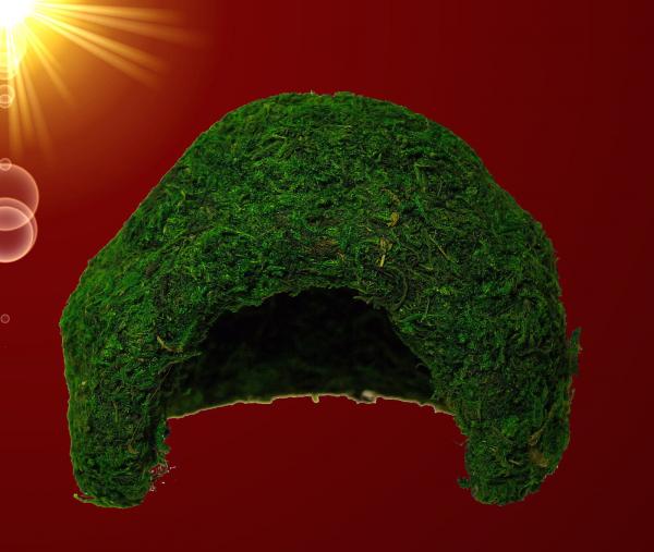 Terrarium Reptilien Deko NATÜRLICHE ECHTE MOOS HÖHLE Dekoration Zubehör