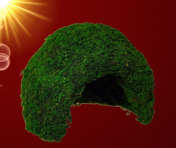 Terrarium Reptilien Deko NATÜRLICHE ECHTE MOOS HÖHLE Dekoration Zubehör