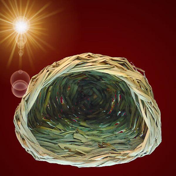 GRAS NEST HÖHLE Nager Zubehör Hamster Meerschweinchen Haus Spielzeug Haus