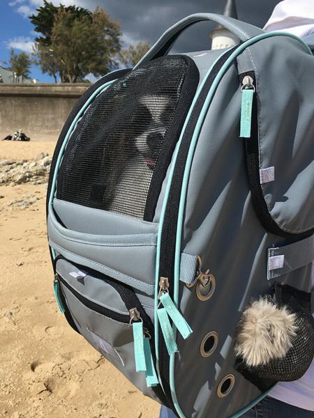 Hunde Katze MULTIFUNKTIONS RUCKSACK Tragetasche Transportbox Reise Auto NOBBY