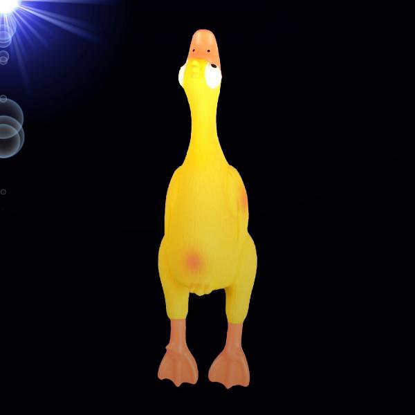 Hundespielzeug 1 x LATEX ENTE MIT SPEAKER Huhn Quitscher Zubehör