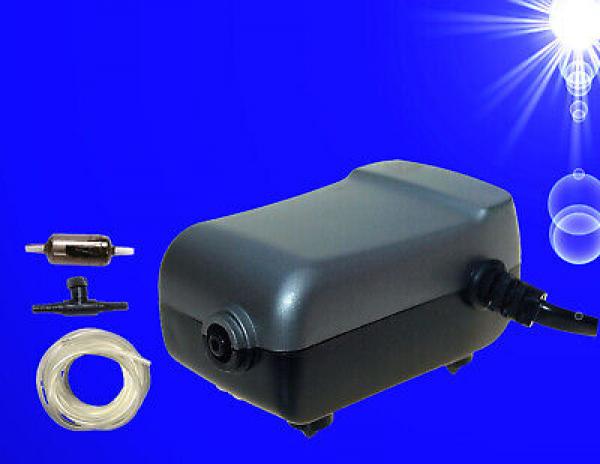 SCHWAMMFILTER SET ➕ LUFTPUMPE bis 60 Liter Innenfilter Aquarium Luftheber