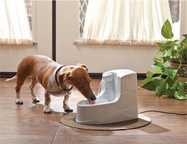 PetSafe Drinkwell® TRINKBRUNNEN 1,2 LITER Katzen Haustiere Hunde Napf