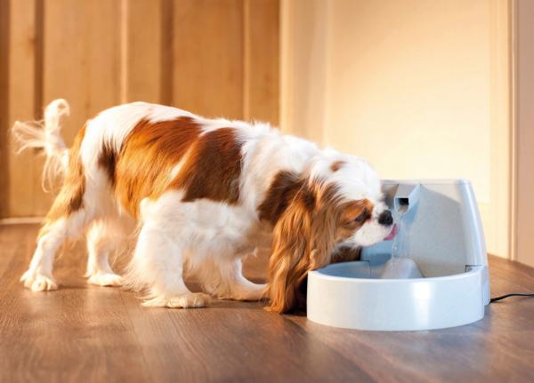 PetSafe Drinkwell® TRINKBRUNNEN 1,5 LITER Katzen Haustiere Hunde Napf (FCB)