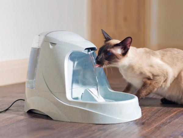 PetSafe Drinkwell® TRINKBRUNNEN 5 LITER Katzen Haustiere Hunde Napf (D2)