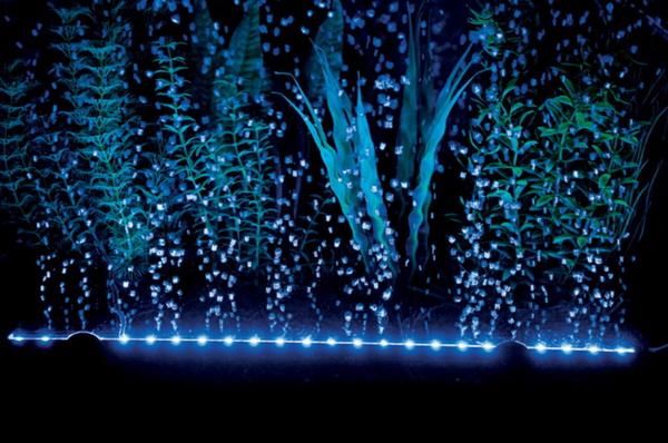 Aquarium Deko AUSSTRÖMERLEISTE ➕ LED ➕ FERNBEDIENUNG ➕ LUFTPUMPE Zubehör