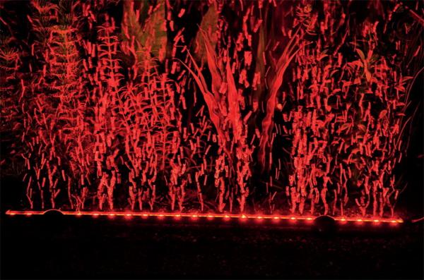 Aquarium Deko AUSSTRÖMERLEISTE ➕ LED ➕ FERNBEDIENUNG ➕ LUFTPUMPE Zubehör