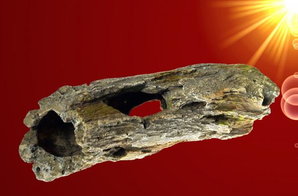 Aquarium Deko AST HÖHLE Wurzel Welse Barsche Nager Terrarium Zubehör