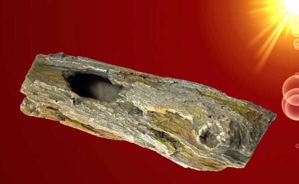 Aquarium Deko AST HÖHLE Wurzel Welse Barsche Nager Terrarium Zubehör