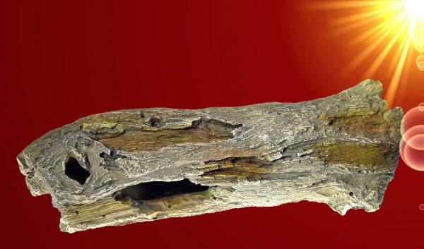 Aquarium Deko AST HÖHLE Wurzel Welse Barsche Nager Terrarium Zubehör