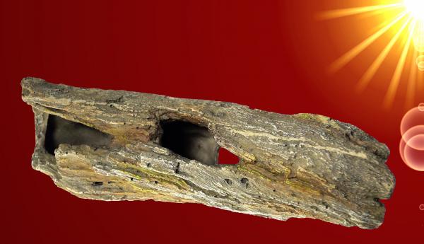 Aquarium Deko AST HÖHLE Wurzel Welse Barsche Nager Terrarium Zubehör