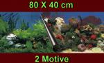 Aquarium Deko 60X30 cm RÜCKWANDFOLIE Fotorückwand Zubehör Poster Dekoration