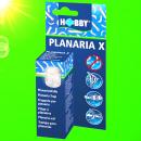 Aquarium PLANARIENFALLE Planaria Scheibenwürmer Falle Trap Wurm Fänger