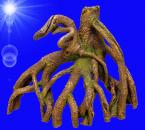 Aquarium Deko MANGROVEN WURZEL Holz Terrarium Höhle Zubehör Dekoration