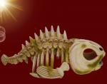 Aquarium Deko großes FISCH SKELETT Totenkopf Skull Terrarium  Zubehör Höhle