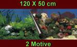 Aquarium Deko 120X50 cm RÜCKWANDFOLIE Fotorückwand Zubehör Poster Dekoration