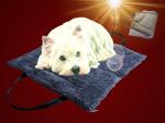Hunde Katze NOBBY 90x60cm 2in1 DECKE / MATTE Hundebett Tragetasche Kissen Reise