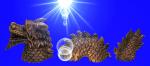 Aquarium Deko 3-teiliges NESSY FIGUR Dekoration Terrarium Zubehör Drachen